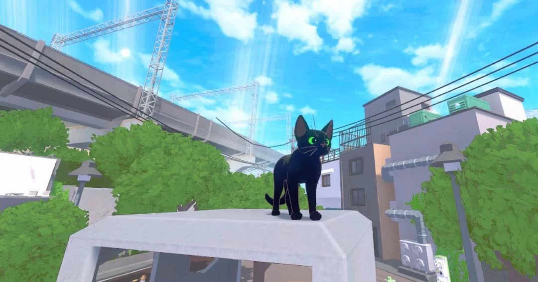 Little Kitty, Big City